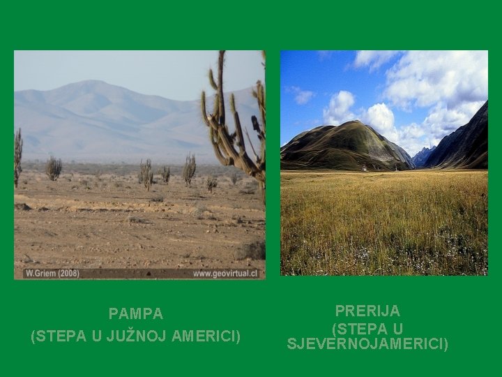 PAMPA (STEPA U JUŽNOJ AMERICI) PRERIJA (STEPA U SJEVERNOJAMERICI) 