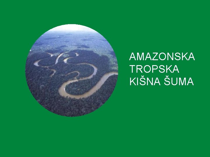 AMAZONSKA TROPSKA KIŠNA ŠUMA 