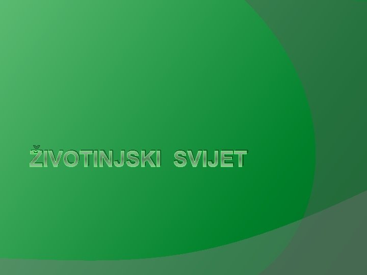 ŽIVOTINJSKI SVIJET 