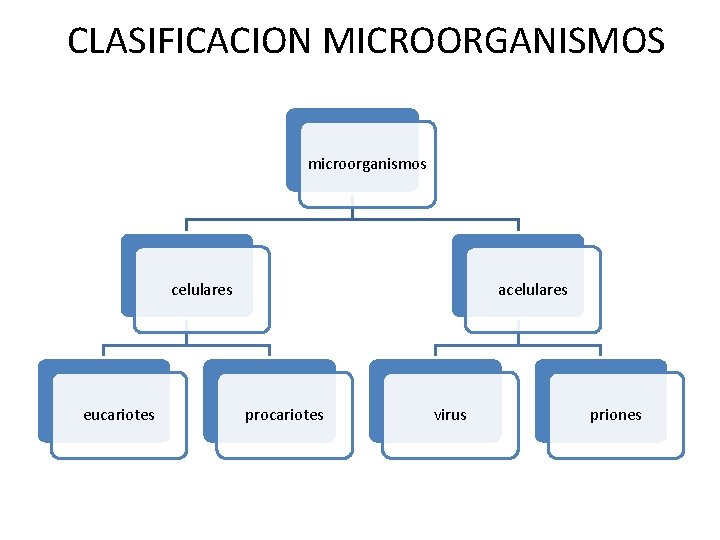 CLASIFICACION MICROORGANISMOS microorganismos celulares eucariotes acelulares procariotes virus priones 