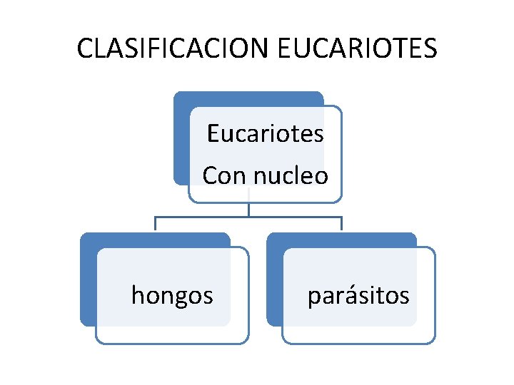 CLASIFICACION EUCARIOTES Eucariotes Con nucleo hongos parásitos 