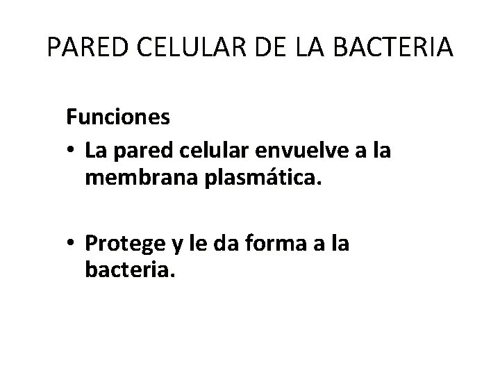 PARED CELULAR DE LA BACTERIA Funciones • La pared celular envuelve a la membrana