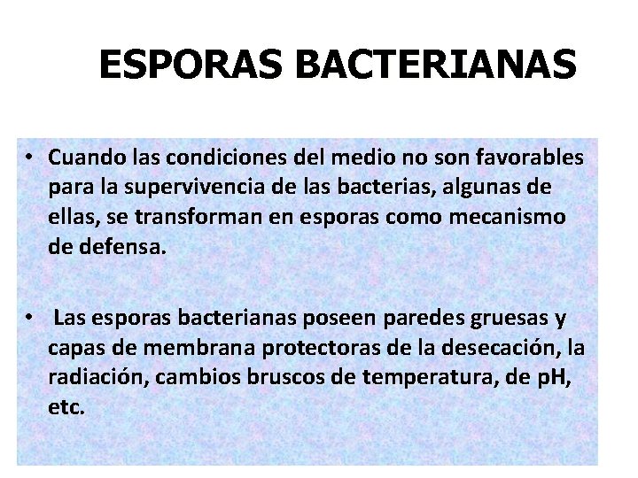  ESPORAS BACTERIANAS • Cuando las condiciones del medio no son favorables para la