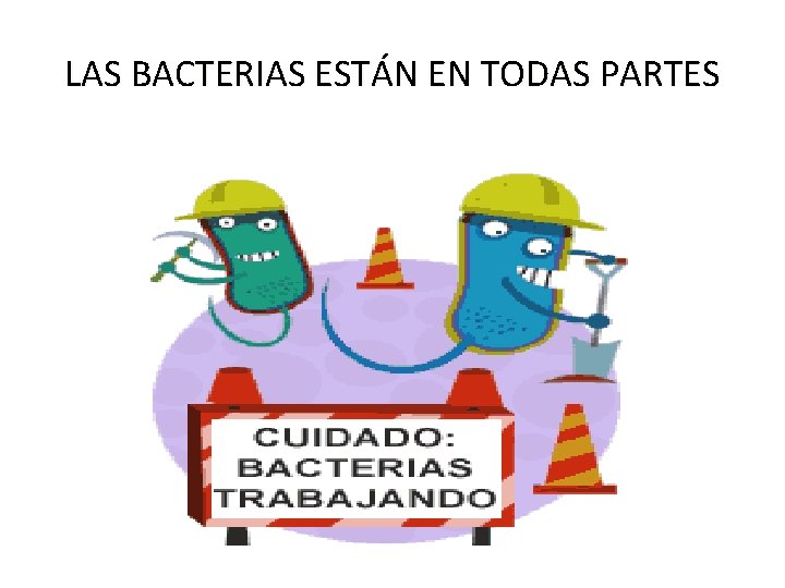 LAS BACTERIAS ESTÁN EN TODAS PARTES 