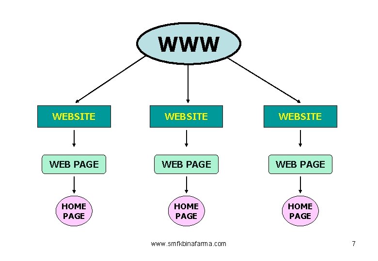 WWW WEBSITE WEB PAGE HOME PAGE www. smfkbinafarma. com 7 