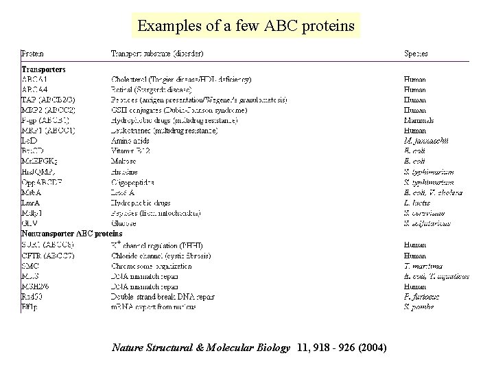 Examples of a few ABC proteins Nature Structural & Molecular Biology 11, 918 - Examples of a few ABC proteins Nature Structural & Molecular Biology 11, 918 -