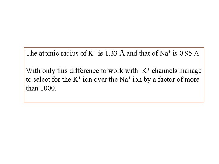 The atomic radius of K+ is 1. 33 Å and that of Na+ is The atomic radius of K+ is 1. 33 Å and that of Na+ is