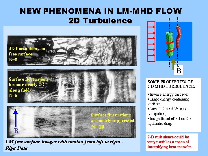 NEW PHENOMENA IN LM-MHD FLOW 2 D Turbulence 3 D fluctuations on free surface