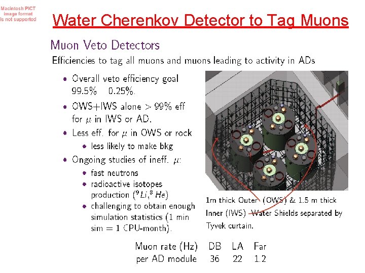 Water Cherenkov Detector to Tag Muons 