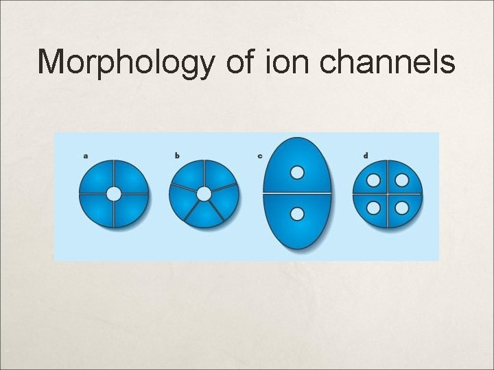 Morphology of ion channels 