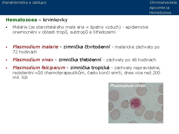 charakteristika a zástupci Chromalveolata Apicomlexa Hematozoea – krvinkovky § Malárie (ze staroitalského mala aria