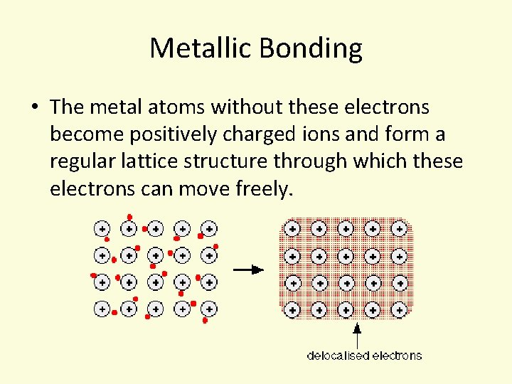 Metallic Bonding • The metal atoms without these electrons become positively charged ions and