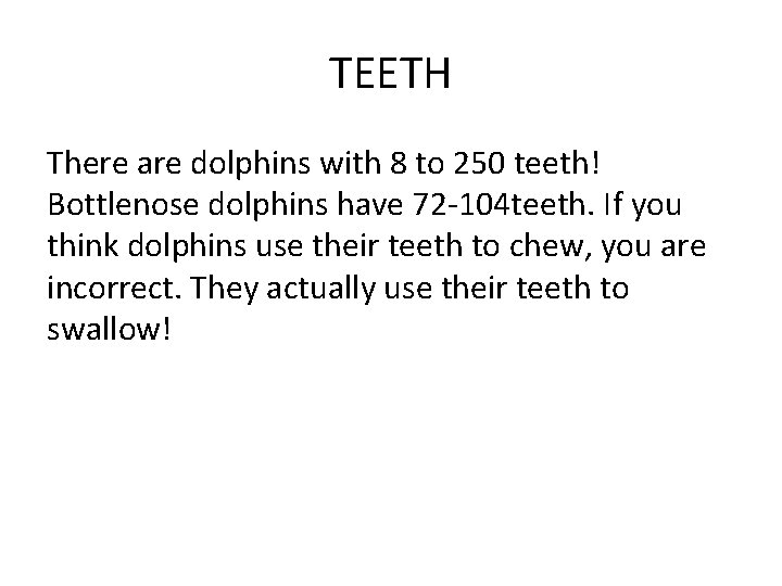 TEETH There are dolphins with 8 to 250 teeth! Bottlenose dolphins have 72 -104