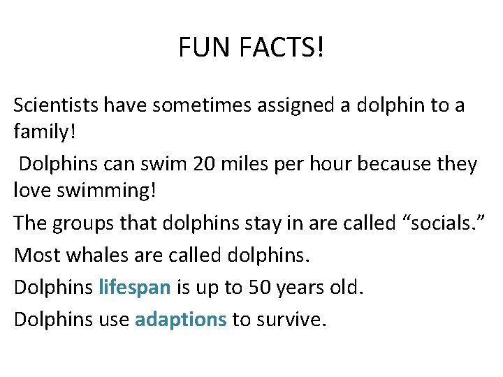 FUN FACTS! Scientists have sometimes assigned a dolphin to a family! Dolphins can swim