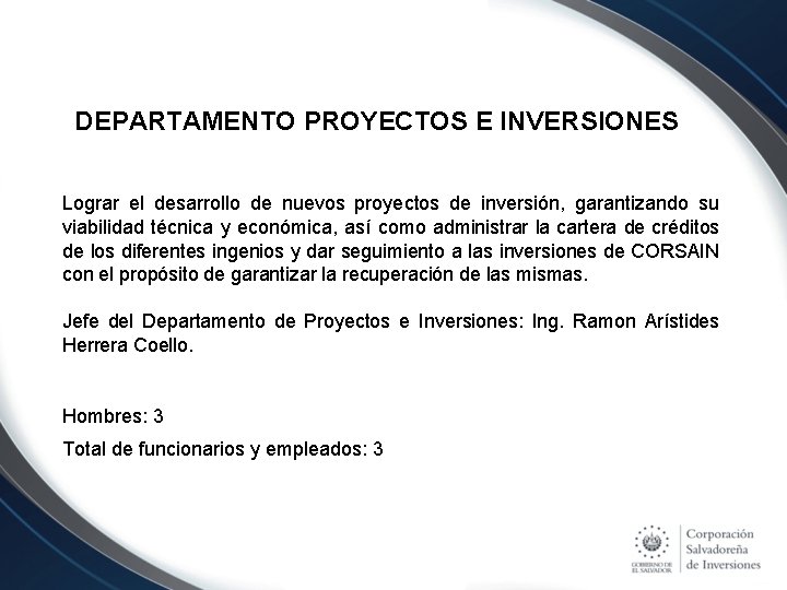 DEPARTAMENTO PROYECTOS E INVERSIONES Lograr el desarrollo de nuevos proyectos de inversión, garantizando su