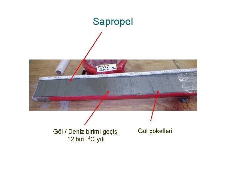 Sapropel Göl / Deniz birimi geçişi 12 bin 14 C yılı Göl çökelleri 