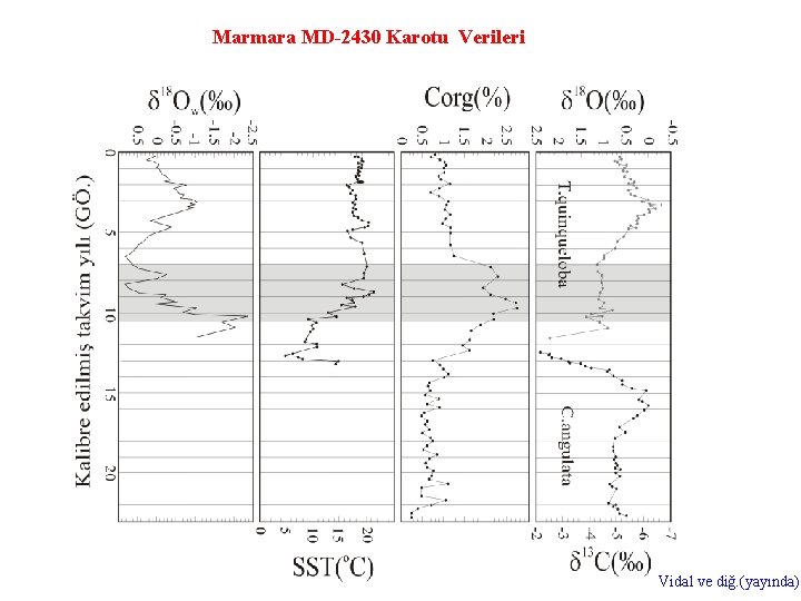 Marmara MD-2430 Karotu Verileri Vidal ve diğ. (yayında) 