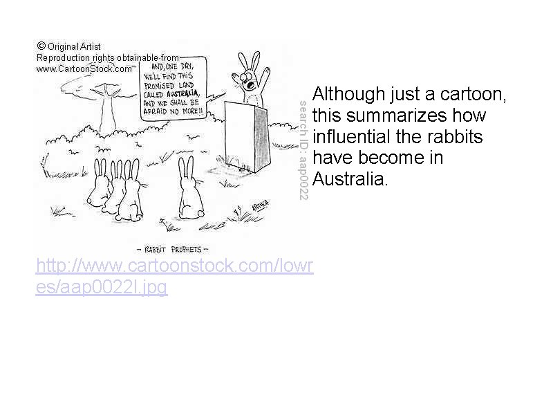  Although just a cartoon, this summarizes how influential the rabbits have become in