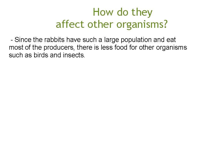  How do they affect other organisms? - Since the rabbits have such a