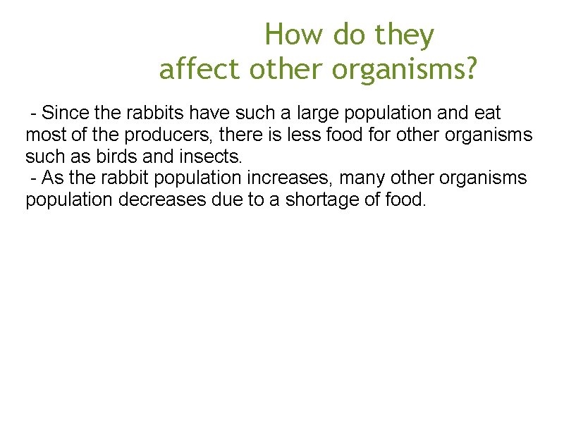  How do they affect other organisms? - Since the rabbits have such a