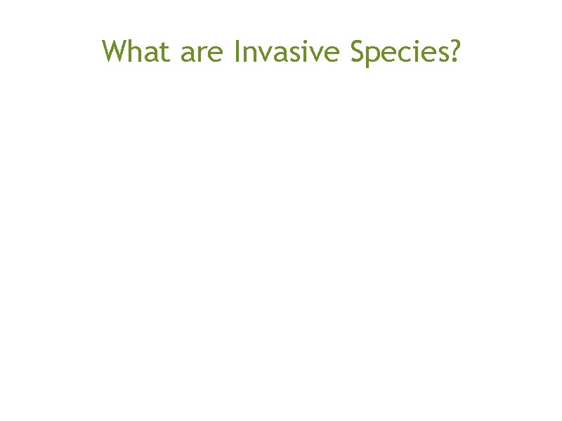 What are Invasive Species? 