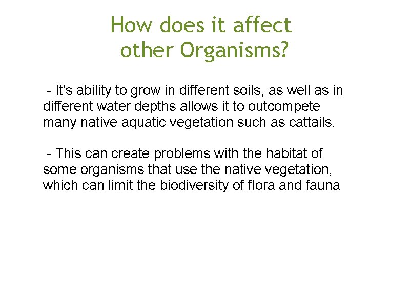 How does it affect other Organisms? - It's ability to grow in different soils,