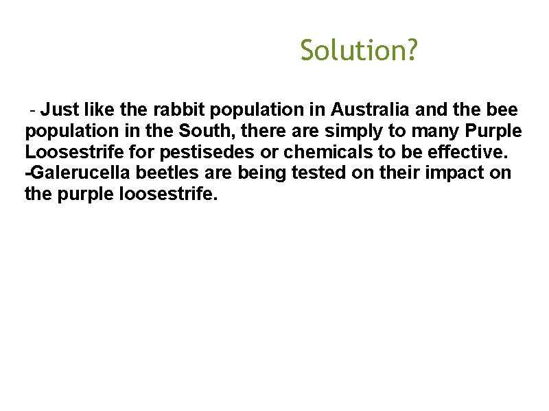  Solution? - Just like the rabbit population in Australia and the bee population