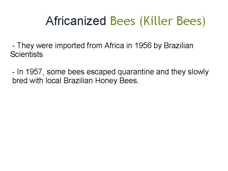  Africanized Bees (Killer Bees) - They were imported from Africa in 1956 by