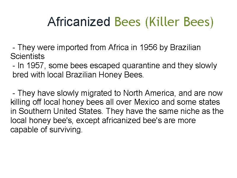  Africanized Bees (Killer Bees) - They were imported from Africa in 1956 by