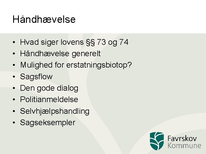 Håndhævelse • • Hvad siger lovens §§ 73 og 74 Håndhævelse generelt Mulighed for