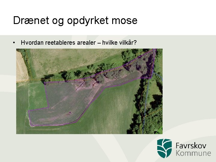 Drænet og opdyrket mose • Hvordan reetableres arealer – hvilke vilkår? 