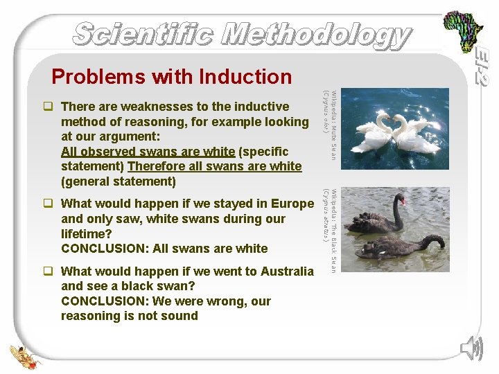 Problems with Induction q What would happen if we went to Australia and see Problems with Induction q What would happen if we went to Australia and see