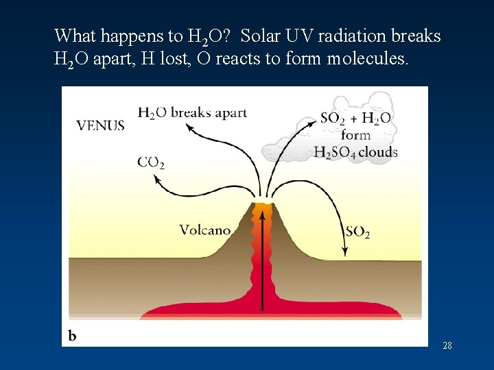 What happens to H 2 O? Solar UV radiation breaks H 2 O apart,