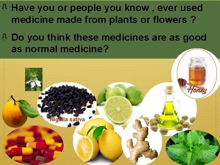  Have you or people you know , ever used medicine made from plants