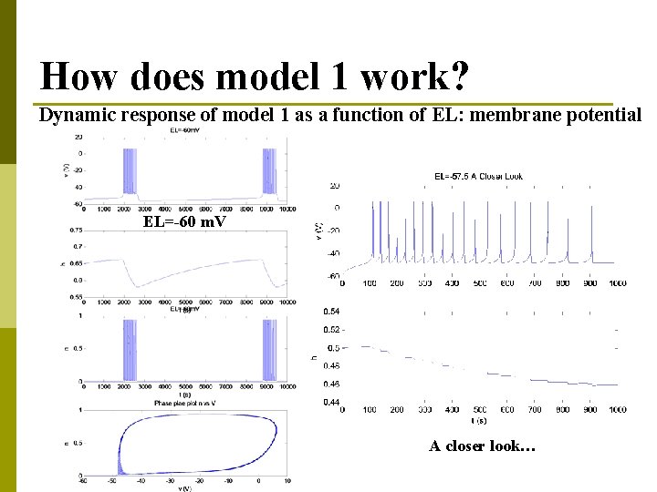 How does model 1 work? Dynamic response of model 1 as a function of