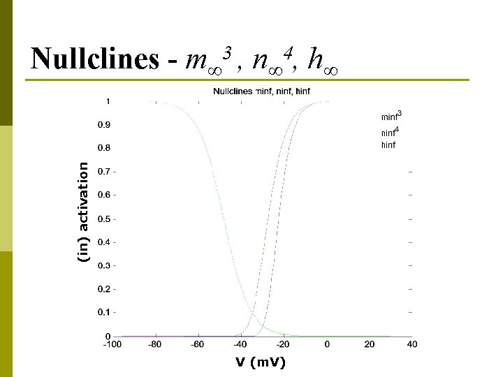 (in) activation Nullclines - m∞ 3 , n∞ 4, h∞ V (m. V) 