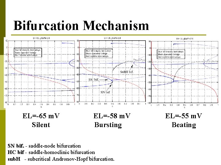 Bifurcation Mechanism EL=-65 m. V Silent EL=-58 m. V Bursting SN bif. - saddle-node