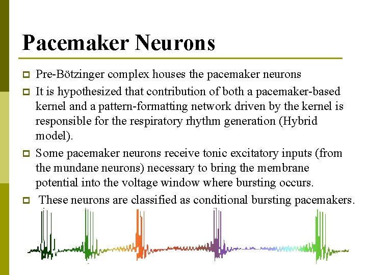 Pacemaker Neurons p p Pre-Bötzinger complex houses the pacemaker neurons It is hypothesized that