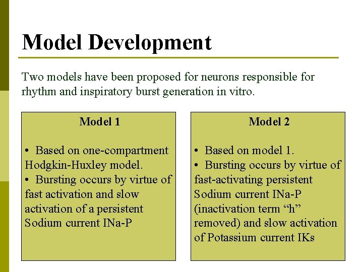Model Development Two models have been proposed for neurons responsible for rhythm and inspiratory