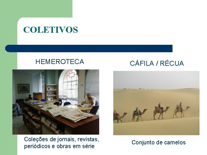 COLETIVOS HEMEROTECA Coleções de jornais, revistas, periódicos e obras em série CÁFILA / RÉCUA
