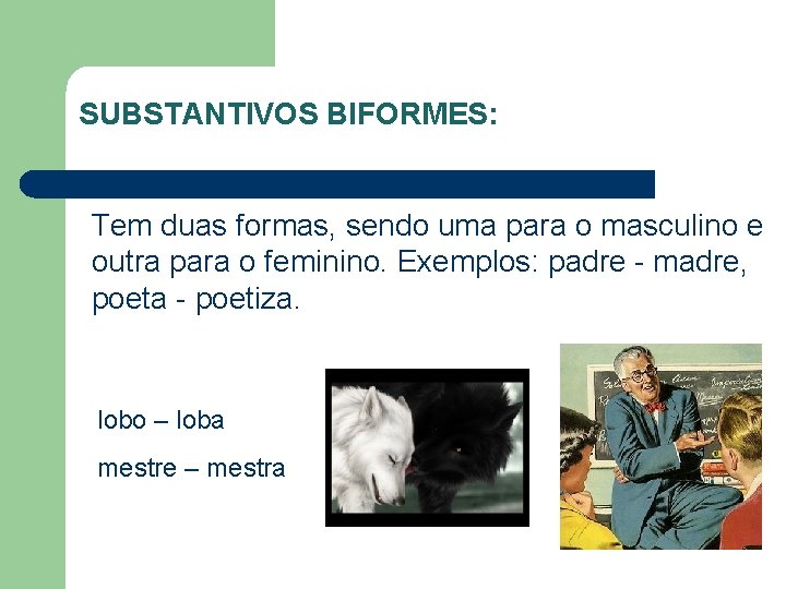 SUBSTANTIVOS BIFORMES: Tem duas formas, sendo uma para o masculino e outra para o