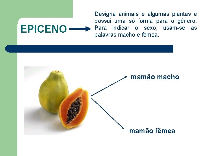 EPICENO Designa animais e algumas plantas e possui uma só forma para o gênero.