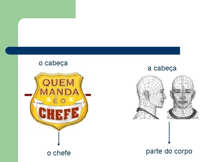 o cabeça o chefe a cabeça parte do corpo 