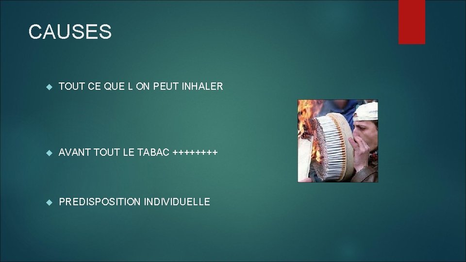 CAUSES TOUT CE QUE L ON PEUT INHALER AVANT TOUT LE TABAC ++++ PREDISPOSITION