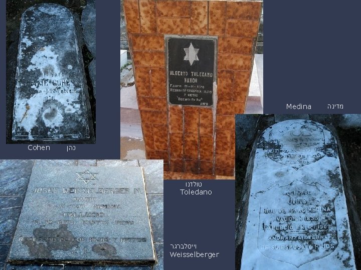 Medina Cohen כהן טולדנו Toledano וייסלברגר Weisselberger מדינה Medina Cohen כהן טולדנו Toledano וייסלברגר Weisselberger מדינה