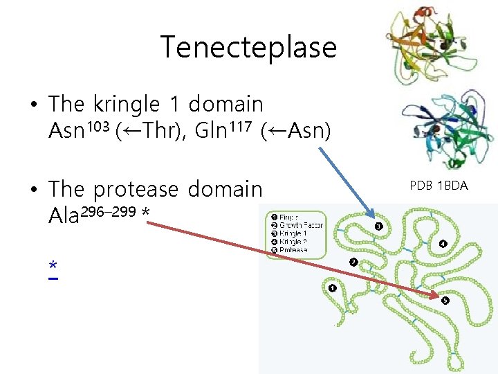 Tenecteplase • The kringle 1 domain Asn 103 (←Thr), Gln 117 (←Asn) • The