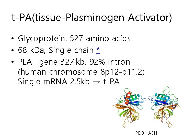 t-PA(tissue-Plasminogen Activator) • Glycoprotein, 527 amino acids • 68 k. Da, Single chain *