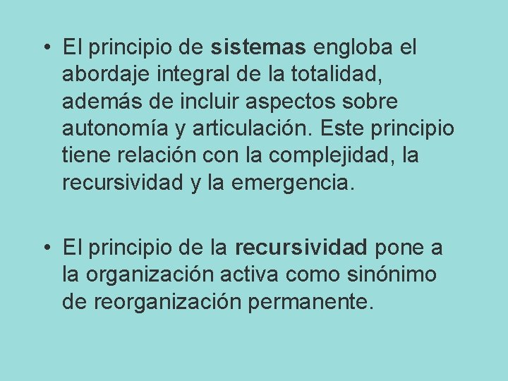  • El principio de sistemas engloba el abordaje integral de la totalidad, además