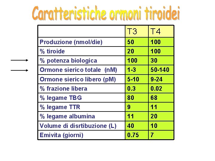 T 3 T 4 Produzione (nmol/die) 50 100 % tiroide 20 100 % potenza