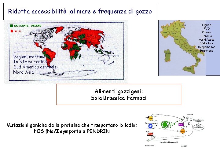 Ridotta accessibilità al mare e frequenza di gozzo Liguria FVG Cuneo Sondrio Val d’Aosta